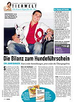 Artikel